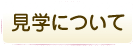 見学について