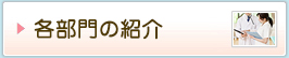 各部門の紹介