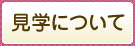 見学について