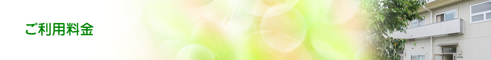 ご利用料金