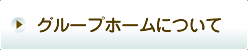 たんぽぽについて